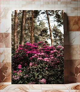 Πίνακας, Blooming Rhododendrons in the Forest Ανθισμένα ροδόδεντρα στο δάσος
