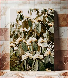 Πίνακας, Blooming Rhododendrons Ανθισμένα Ροδόδεντρα