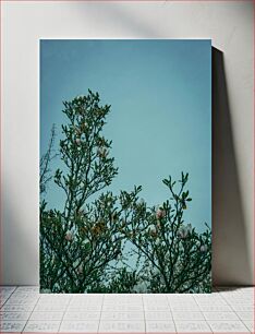 Πίνακας, Blooming Tree Against the Sky Ανθισμένο δέντρο ενάντια στον ουρανό