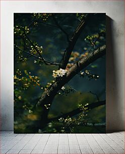 Πίνακας, Blooming Tree Branch Ανθισμένο κλαδί δέντρου