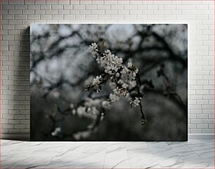 Πίνακας, Blooming Tree Branch Ανθισμένο κλαδί δέντρου