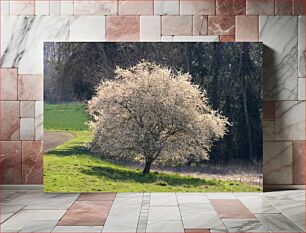 Πίνακας, Blooming Tree in Spring Ανθισμένο δέντρο την άνοιξη