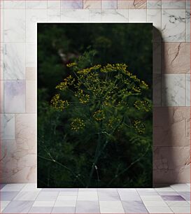 Πίνακας, Blooming Wildflower in the Dark Ανθισμένο αγριολούλουδο στο σκοτάδι