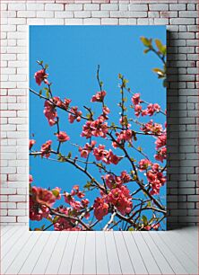 Πίνακας, Blossoming Branches Against Blue Sky Ανθισμένα κλαδιά ενάντια στο γαλάζιο του ουρανού