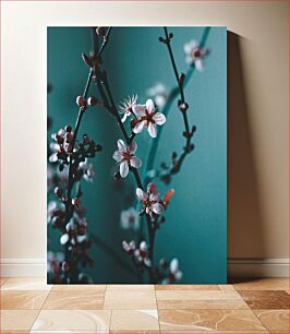 Πίνακας, Blossoming Cherry Flowers Ανθισμένα λουλούδια κερασιάς