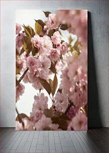 Πίνακας, Blossoming Cherry Flowers Ανθισμένα λουλούδια κερασιάς