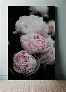 Πίνακας, Blossoming Peonies Ανθισμένες Παιώνιες