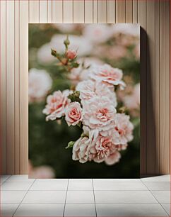 Πίνακας, Blossoming Pink Roses Ανθισμένα ροζ τριαντάφυλλα
