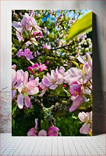 Πίνακας, Blossoming Spring Ανθισμένη Άνοιξη