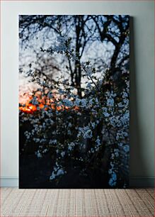 Πίνακας, Blossoms at Sunset Άνθη στο ηλιοβασίλεμα