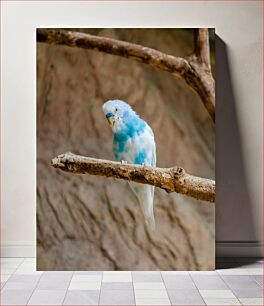 Πίνακας, Blue and White Bird on Branch Μπλε και άσπρο πουλί στο κλαδί