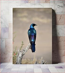 Πίνακας, Blue Bird on a Branch Μπλε πουλί σε ένα κλαδί