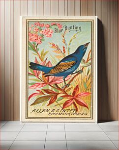 Πίνακας, Blue Bunting, from the Birds of America series (N4) for Allen & Ginter Cigarettes Brands