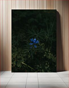 Πίνακας, Blue Flower in Green Foliage Μπλε λουλούδι σε πράσινο φύλλωμα