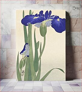 Πίνακας, Blue Irises (1900 - 1930) by Ohara Koson (1877-1945)