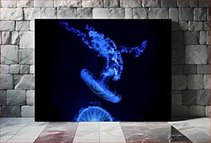 Πίνακας, Blue Jellyfish in the Dark Μπλε μέδουσες στο σκοτάδι