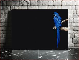 Πίνακας, Blue Macaw on a Branch Μπλε Μακό σε ένα κλαδί