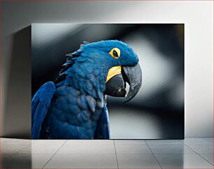 Πίνακας, Blue Macaw Parrot Μπλε παπαγάλος Macaw