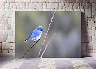 Πίνακας, Bluebird on a Branch Bluebird σε ένα κλαδί