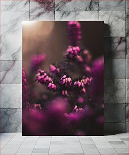 Πίνακας, Blurred Bloom Θολή άνθιση