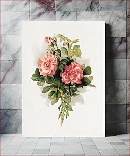Πίνακας, Blush roses, aesthetic chromolithograph