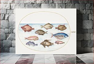Πίνακας, Boarfish, Razorfish, Butterfish, a John Dory and Other Fish (1575–1580) by Joris Hoefnagel