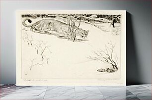 Πίνακας, Bob-white and Puma, Rodney Thomson