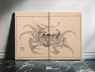 Πίνακας, Book with woodblock printed images of leafy and flowering plants; crab; fruits; insects, and birds; some coloring; yellow cover with brown title label