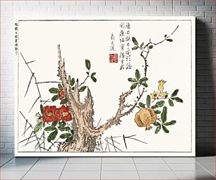 Πίνακας, Botanical from Minchô shiken, Sorimachi 409 (1746) vintage Japanese woodblock prints by Ôoka Shunboku