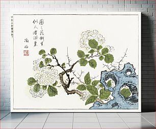 Πίνακας, Botanical from Minchô shiken, Sorimachi 409 (1746) vintage Japanese woodblock prints by Ôoka Shunboku