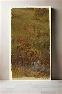 Πίνακας, Botanical Studies by Frederic Edwin Church, American, 1826–1900