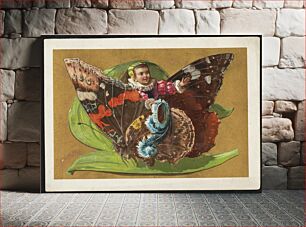 Πίνακας, Boy riding butterfly sitting on a leaf