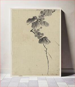 Πίνακας, [Branch with leaves and berries]