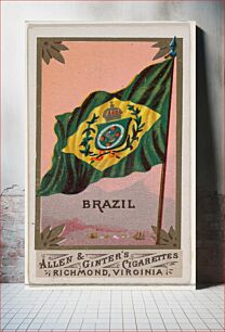 Πίνακας, Brazil, from Flags of All Nations, Series 1 (N9) for Allen & Ginter Cigarettes Brands
