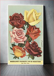 Πίνακας, Breedlove's favorite 1949-50 selection