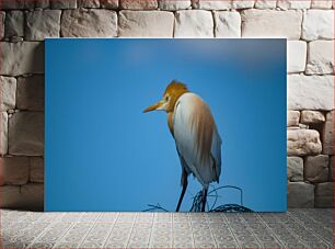 Πίνακας, Bright Bird on a Clear Day Φωτεινό πουλί σε μια καθαρή μέρα