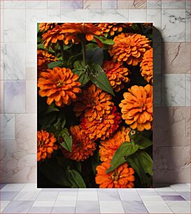 Πίνακας, Bright Orange Flowers Φωτεινό Πορτοκαλί Λουλούδια