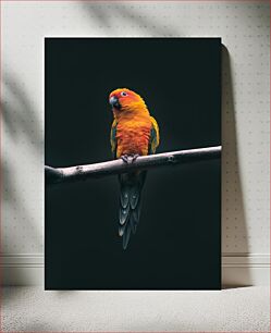 Πίνακας, Bright Parrot Perched on Branch Φωτεινός παπαγάλος σκαρφαλωμένος στο κλαδί