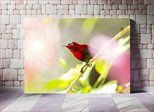 Πίνακας, Bright Red Bird Perched on a Branch Φωτεινό κόκκινο πουλί σκαρφαλωμένο σε ένα κλαδί