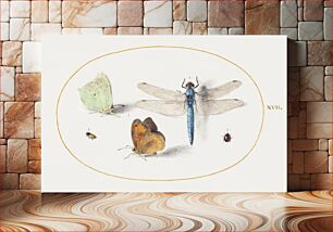 Πίνακας, Brimstone and Meadow Brown Butterflies, a Dragonfly, and Two Small Insects (1575–1580) by Joris Hoefnagel