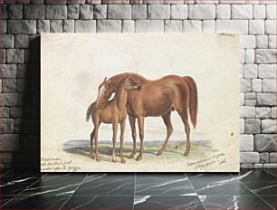Πίνακας, Brood Mare and Third Foal, with Marks of Quagga by Charles Hamilton Smith