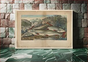 Πίνακας, Brook trout--just caught between 1856 and 1907 by Currier & Ives