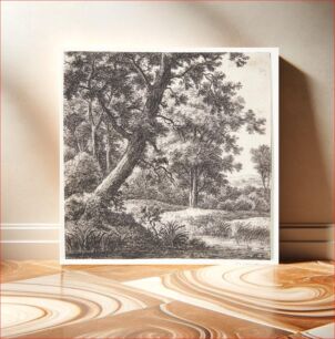 Πίνακας, Brook with a leaning tree by Anthonie Waterloo