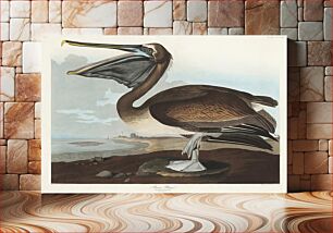 Πίνακας, Brown Pelican from Birds of America (1827) by John James Audubon (1785 - 1851), etched by Robert Havell (1793 - 1878)