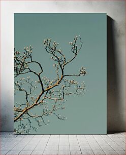 Πίνακας, Budding Branches Against Blue Sky Εκκολαπτόμενα κλαδιά ενάντια στο γαλάζιο του ουρανού