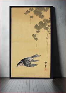 Πίνακας, Budō ni shōkin