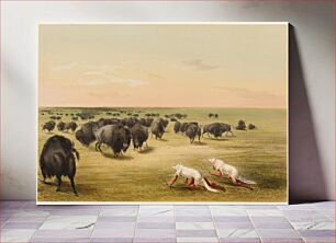 Πίνακας, Buffalo Hunt, Under the White Wolf Skin (1844) by George Catlin