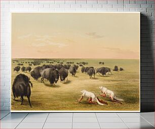 Πίνακας, Buffalo Hunt, Under the White Wolf Skin
