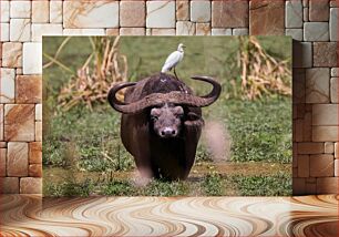 Πίνακας, Buffalo with Bird Companion Buffalo with Bird Companion
