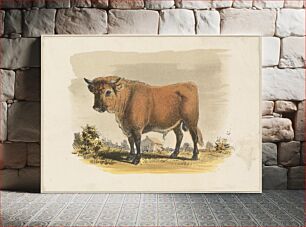 Πίνακας, Bull